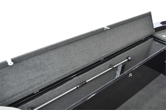 519AssaultPro_Internal_2024 (2)